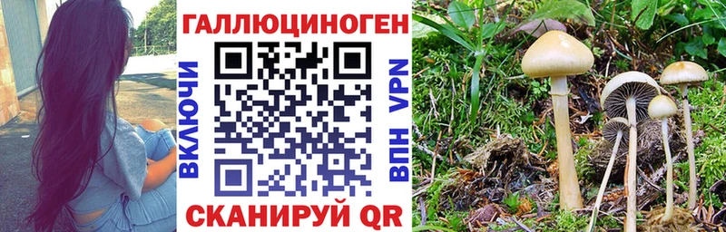 Галлюциногенные грибы Cubensis  гидра как войти  Коломна 